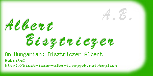 albert bisztriczer business card